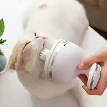 A cat with its eyes closed in relaxation while receiving a head massage from the white electric massager.