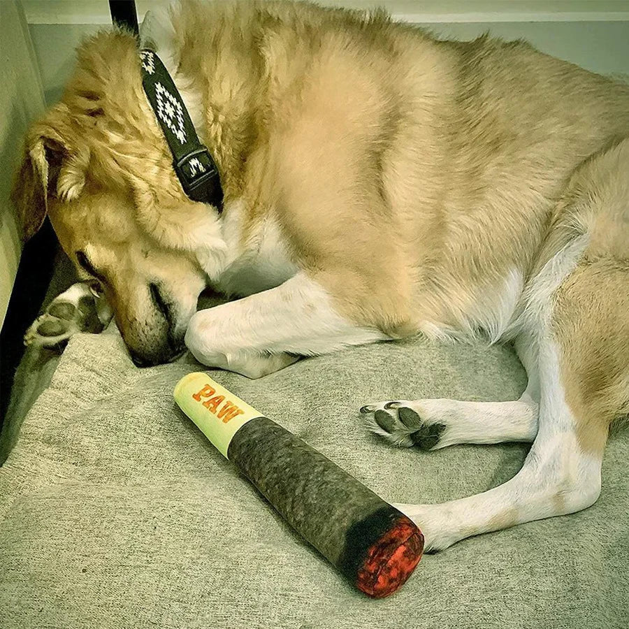 A tan-colored dog sleeping soundly on its bed with the "PAW" plush cigar-shaped toy next to it.