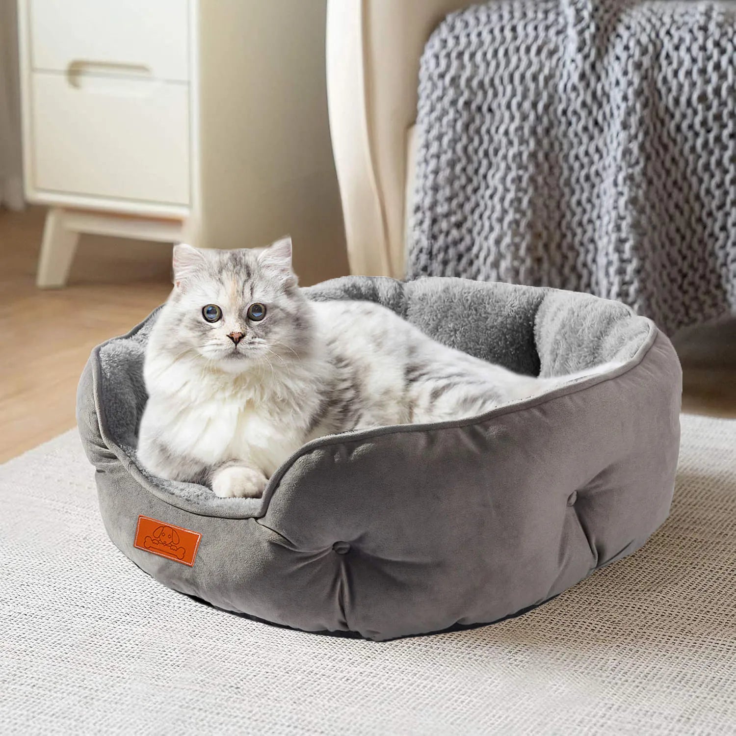 A fluffy white and grey cat with blue eyes relaxing comfortably in a plush grey corduroy pet bed.