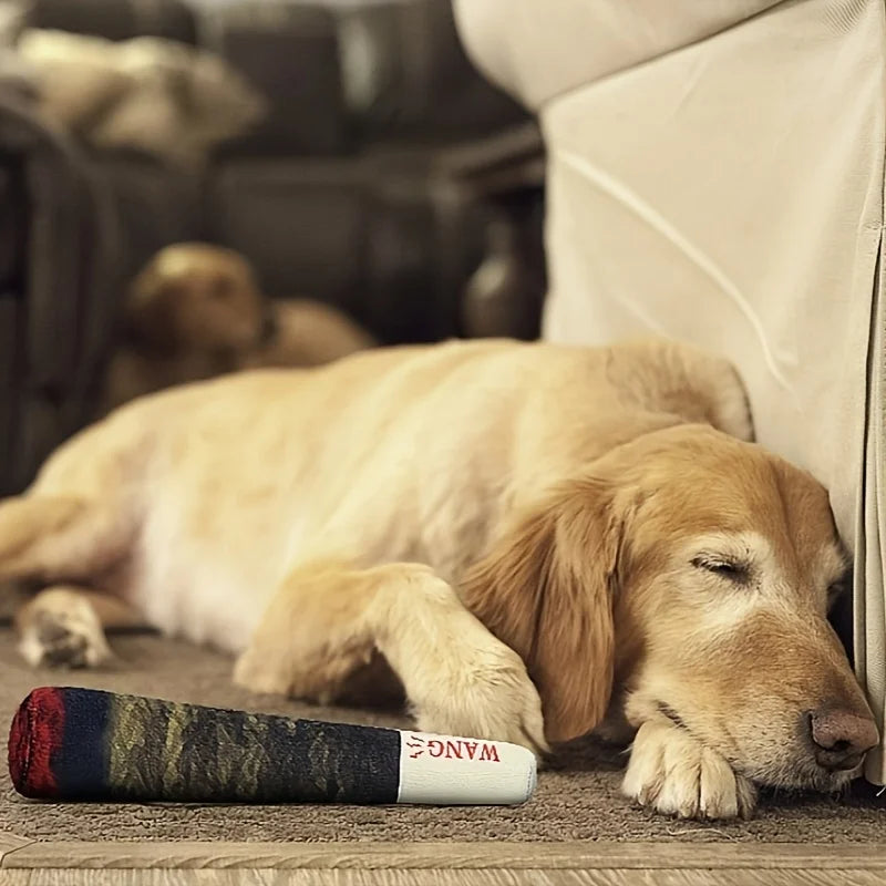 A golden retriever napping peacefully on the floor, its head resting near the "WANG" plush cigar-shaped toy.