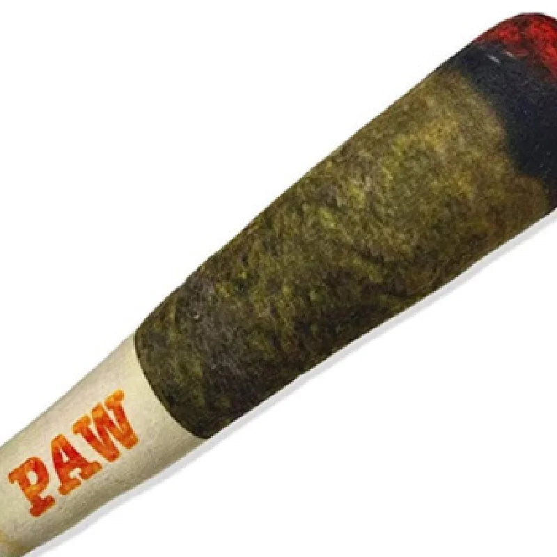 Dog Cigar Squeaky Toy