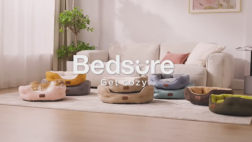 A short video showcasing the soft texture and plush cushioning of the ComfyPaws corduroy pet bed, with a cat happily kneading and settling into it.